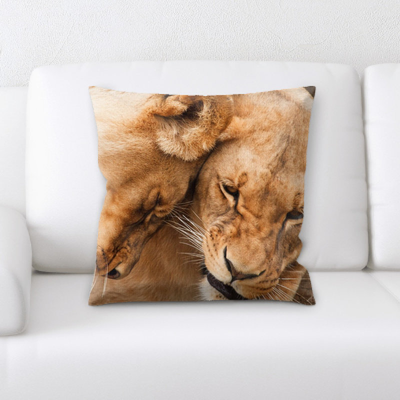Coussin en afrique