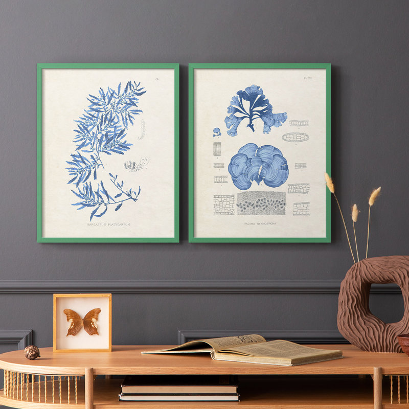 Blue Marine Algae III - reproduction encadrée de qualité supérieure - prête à être accrochée - aucun clou requis - aucun clou requis