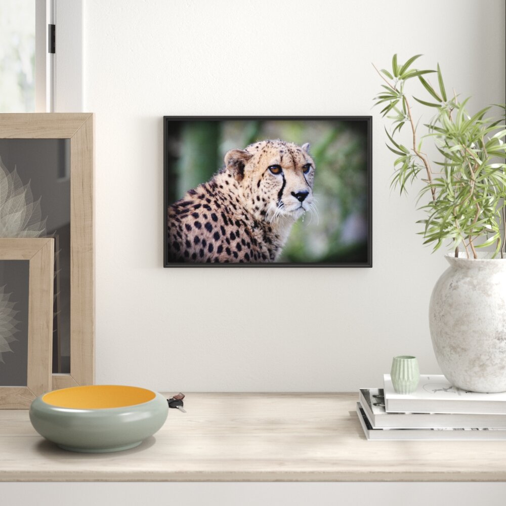 Gerahmtes Wandbild bildschöner Gepard