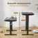 Guimauve Height Adjustable Electric Standing Computer Desk With Non-Spliced Desk Top Home Office Desk