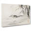 Spotted Sandpiper by Kono Baireir - Wrapped Canvas-55339709