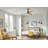 Maison 60'' Ceiling Fan with LED Lights