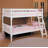 Frausto Bunk Bed with RF Front Ladders-33419618-33419619