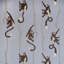 Troop 9.84' L x 69" W Wallpaper Roll-842690348