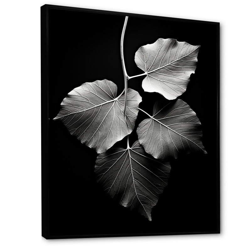 Feuilles monochromes sur fond noir, reproduction sur toile, H 40 po x l 30 po, Cadre flottant noir