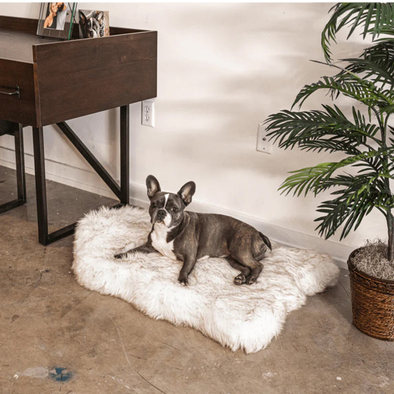 Small White Faux Fur Orthopedic Dog Bed with Memory Foam