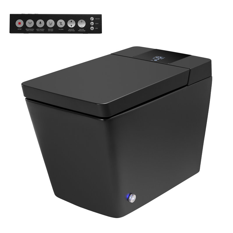 Smart  One-Piece Toilet with Heated Seat, Auto Flush, Bidet Wash, Dryer and Night Light, Black