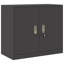 Storage Cabinet Steel Lockable