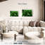 Palmier forêt-2126854796-2126854784