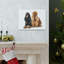 Cocker Spaniel Couple-463643137