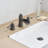 Widespread 2-handle Bathroom Faucet with Drain Assembly