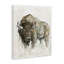 Buffalo Western American Brown Country Animal-1892900139-1892900150