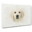 Golden Retriever Puppy In Abstract - Wrapped Canvas Print-55315281