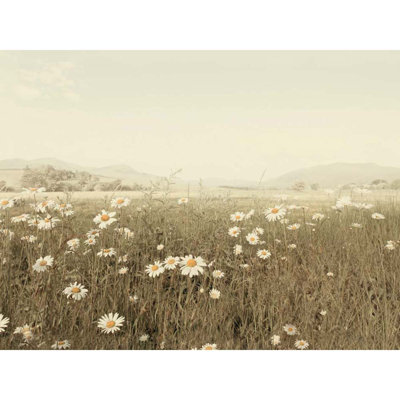 Lan Winstanley - Print