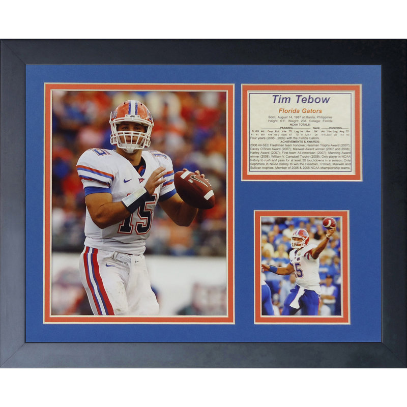 Single Picture Frame Memorabilia