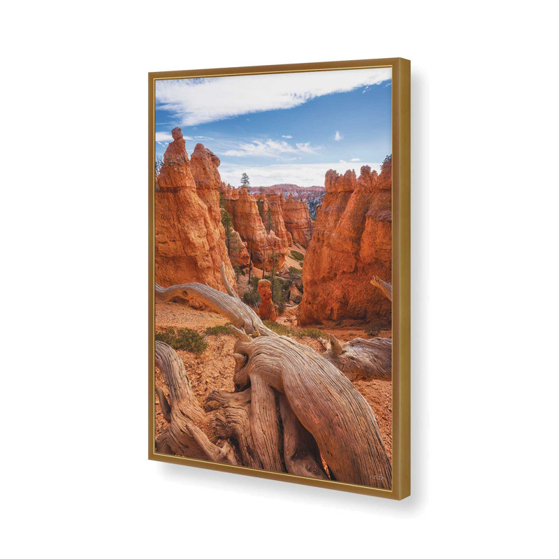 «Canyon Weathered Wood» par Martin Podt, reproduction d'art, L 8 po x H 12 po, Doré, Impression encadrée