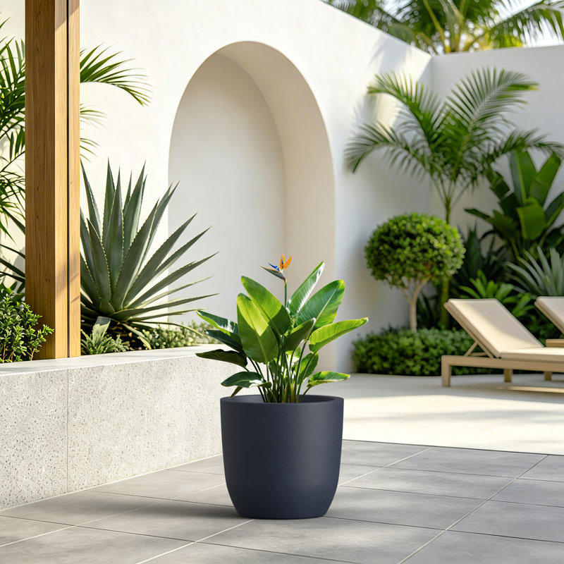 13 Inch Weather Resistant Cement Planter,Indoor & Outdoor Plant Pot With Drainage,Charcoal Gray, Charcoal Gray