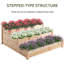 Aalimah Wood Raised Garden Bed