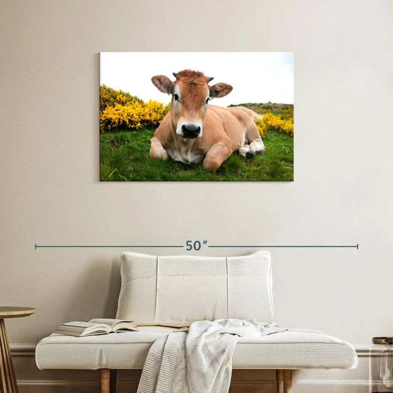 Adorable Aubrac Cow, 24" H x 36" W