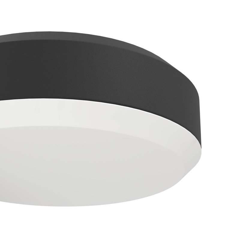 Antiope Matte Black 16cm H Outdoor Armed Sconce