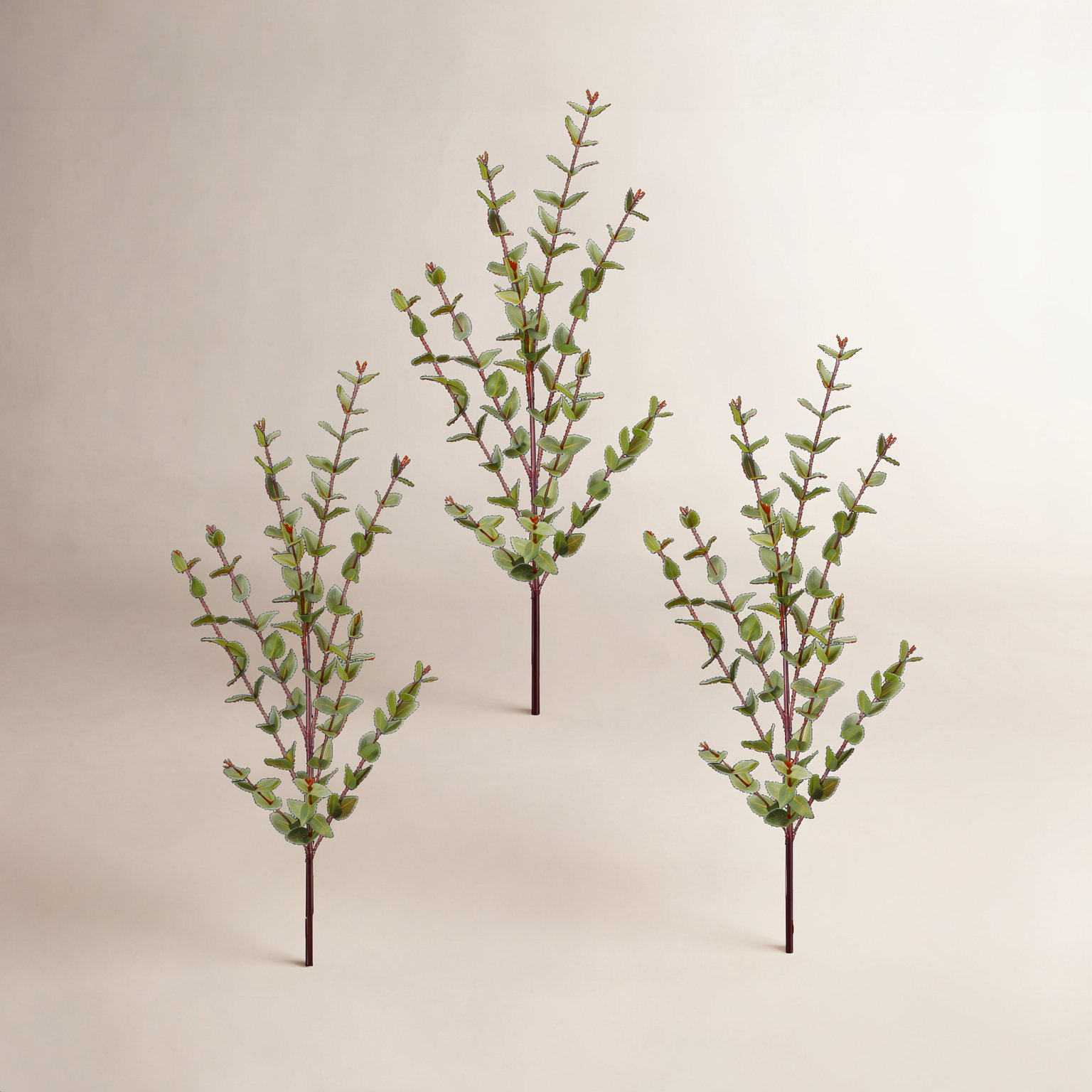 Mini Eucalyptus Stems