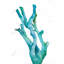 Petite aquarelle, corail de mer, art marin turquoise