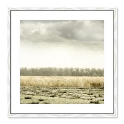 Henri "Meadowland" Print by Danita Delimont