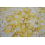 Tapis oriental crème 8 x 10