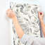 Papier peint feuilles de charbon Pinnate-223838526