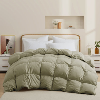  All Season Down Feather Fiber Comforter Duvet Insert with 8 Corner Tabs