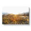 Young King Penguins - Wrapped Canvas-61880818