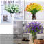 Arrangement floral fleurs de jasmin artificielles-592964107