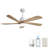 Damecia 52'' Ceiling Fan with LED Lights-1444270906