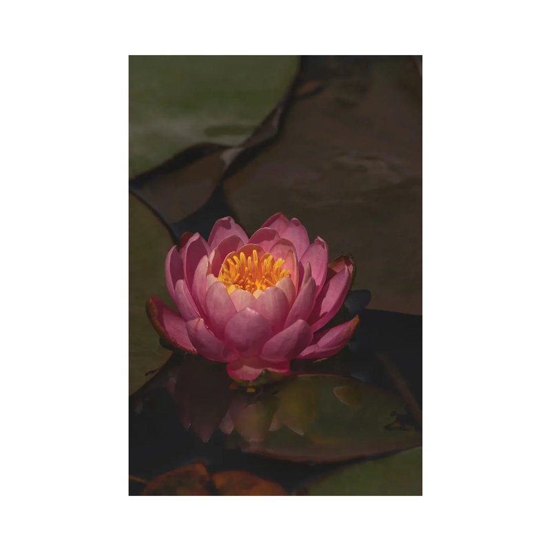 Water Lily by Louis Ruth - Wrapped Canvas Painting, 66.04cm H x 45.72cm W x 1.91cm D