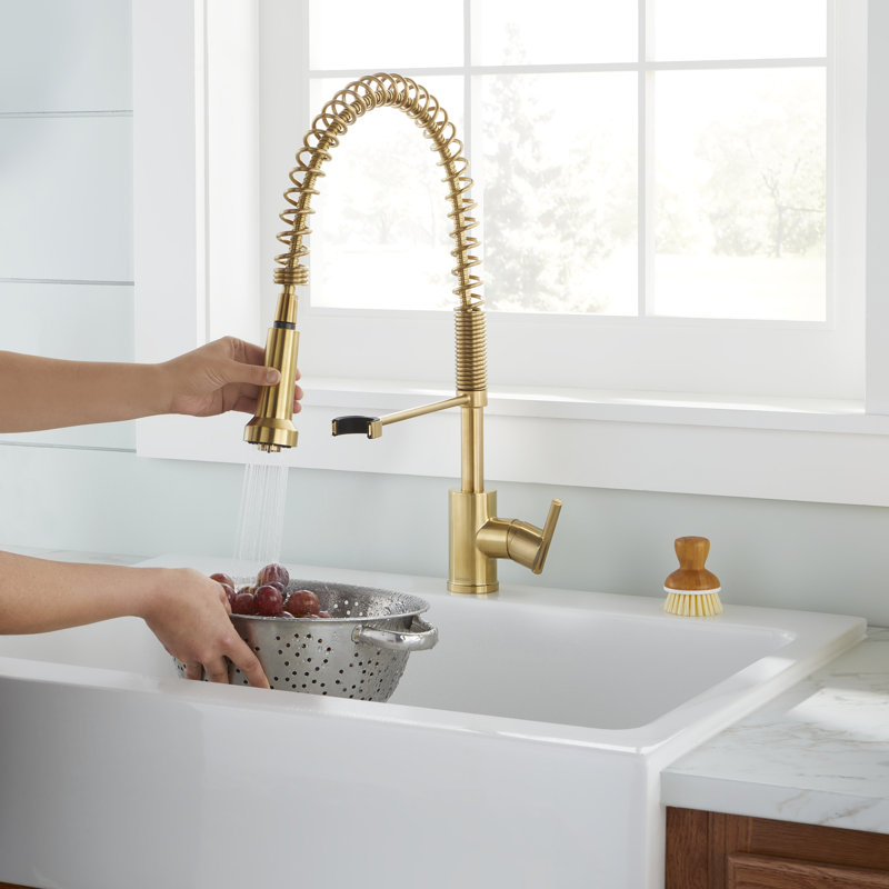 Parma Pull Down Single Handle Kitchen Faucet, Brushed Bronze
