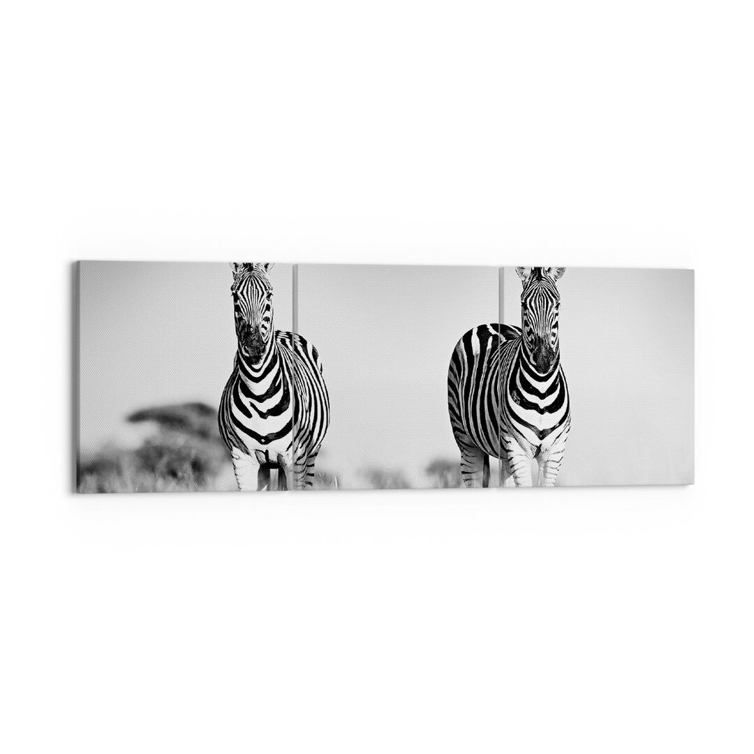 3-tlg. Leinwandbilder-Set Zebras Black and White