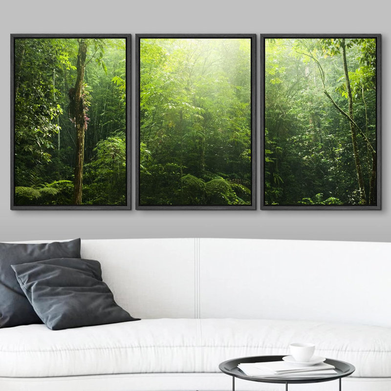Rayon de soleil sur une forêt verdoyante Nature Photographie Réalisme Rustique, H 24 po x l 48 po, Cadre flottant noir