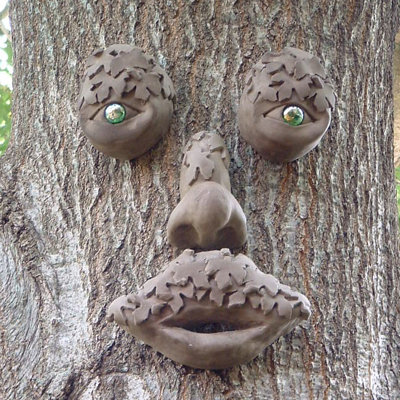 Visage d'arbre Mr. Mapleshade
