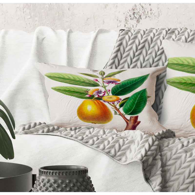 Coussin Rectangle, Vintage Fruits I - Farmhouse