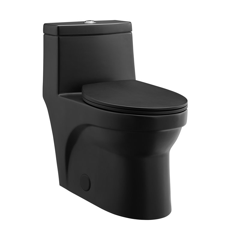 Virage One-Piece Elongated Toilet Vortex Dual-Flush 1.1/1.6 gpf, Matte Black, Top