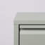 Billy 12 Pair Shoe Storage Cabinet