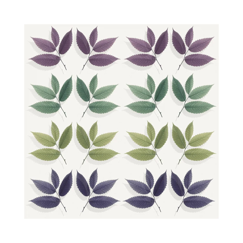 Calming Hornbeam Leaf Pattern by Alyson Fennell - Wrapped Canvas Print, 30.48 cm H x 30.48 cm W