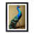 Black Framed selected