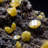 Truncated Bipyramidal "Sandwich" Wulfenite. Ojuela Mine, Mexico.