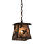 Rustic Lodge 1 - Light Pendant