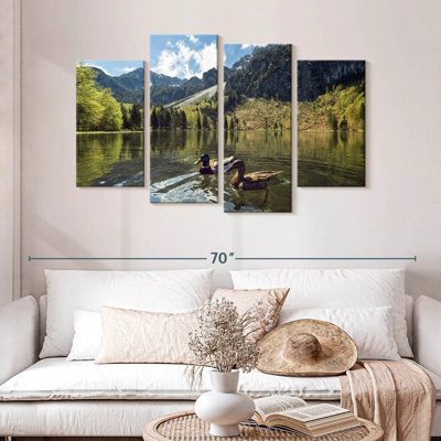 Canards colvert Alvord Frillensee