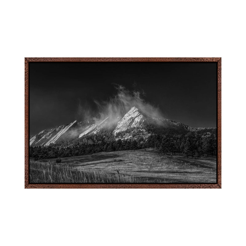 Frozen Whimsey, B&W 1 Piece Wall Art on Canvas, 66.04 cm H x 45.72 cm W, Classic Wood Framed