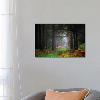 Entering the Forest 1 Piece Wrapped Canvas Painting