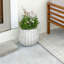 Prussia Concrete Pot Planter-724156759