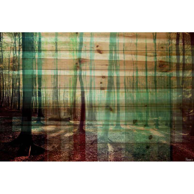 «Tree Rays» par Parvez Taj, reproduction d'art sur bois de pin naturel, 24 po x 36 po